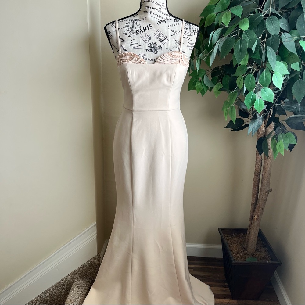Love Honor Mermaid Lace Strappy Gown Nude US Sz 2